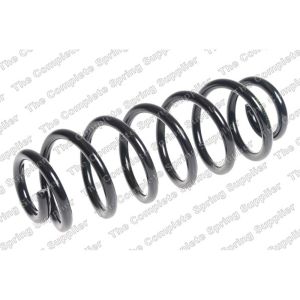 Coil Spring - Rear