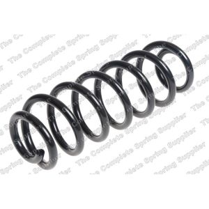 Coil Spring - Rear