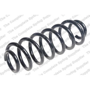 Coil Spring - Rear