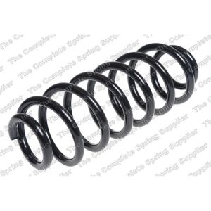 Coil Spring - Rear