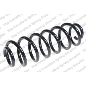 Coil Spring - Rear