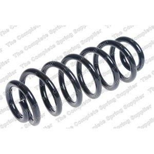 Coil Spring - Rear