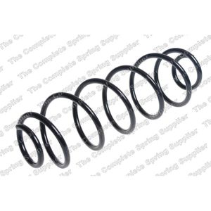 Coil Spring - Rear