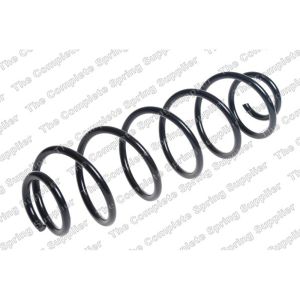 Coil Spring - Rear