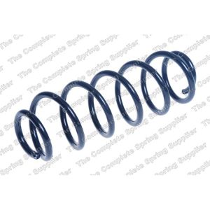 Coil Spring - Rear