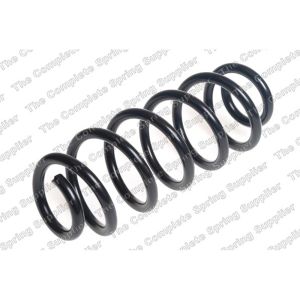 Coil Spring - Rear