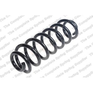 Coil Spring - Rear