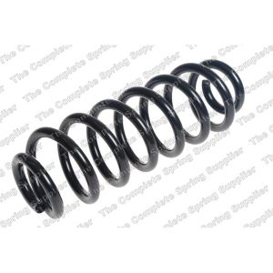 Coil Spring - Rear