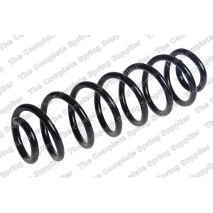 Coil Spring - Rear