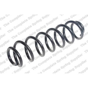 Coil Spring - Rear