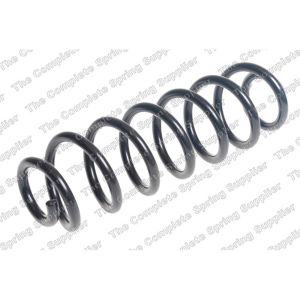 Coil Spring - Rear