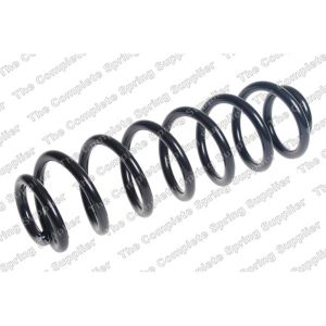 Coil Spring - Rear