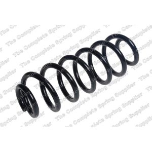 Coil Spring - Rear