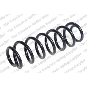 Coil Spring - Rear