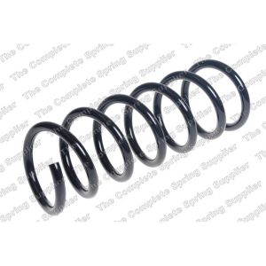 Coil Spring - Rear