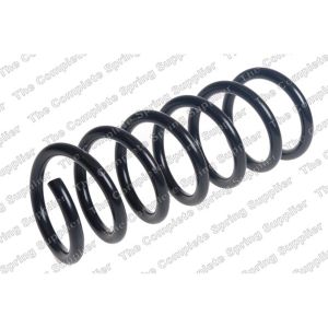 Coil Spring - Rear