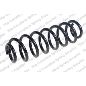 Coil Spring - Rear