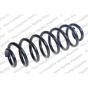 Coil Spring - Rear