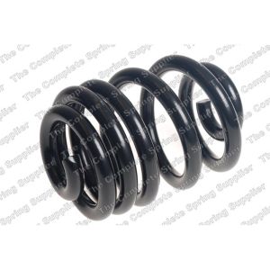 Coil Spring - Rear