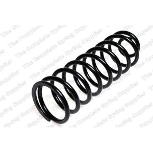 Coil Spring - Rear