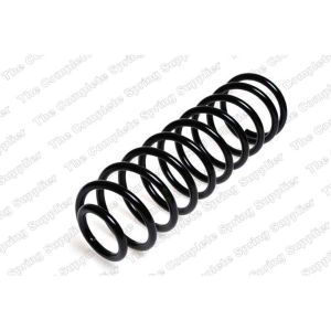 Coil Spring - Rear