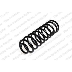 Coil Spring - Rear