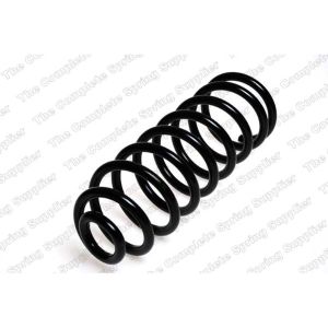 Coil Spring - Rear