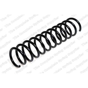 Coil Spring - Rear