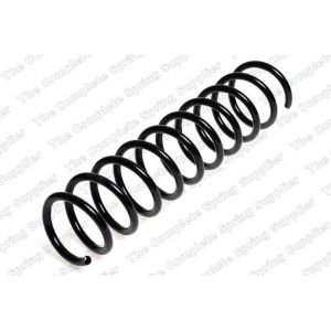 Coil Spring - Rear