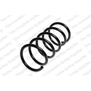 Coil Spring - Rear