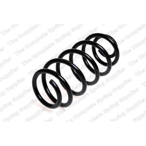 Coil Spring - Rear