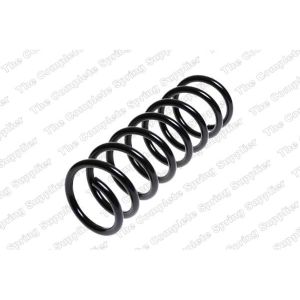 Coil Spring - Rear