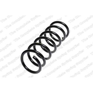 Coil Spring - Rear