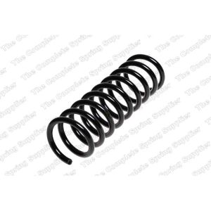 Coil Spring - Rear