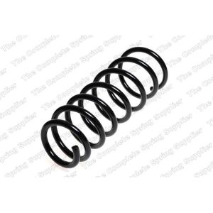 Coil Spring - Rear