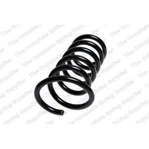 Coil Spring - Rear