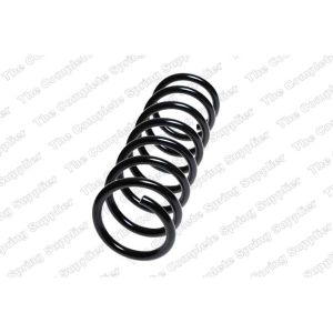 Coil Spring - Rear