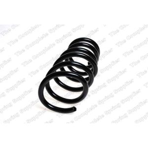 Coil Spring - Rear