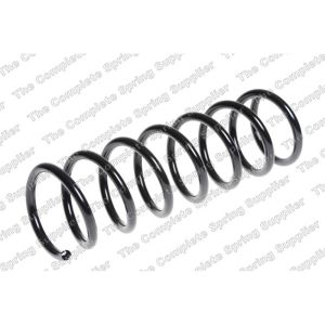 Coil Spring - Rear