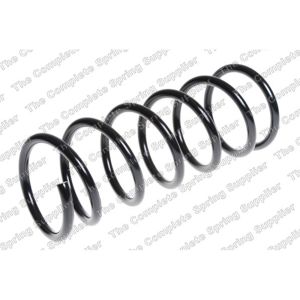 Coil Spring - Rear