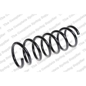 Coil Spring - Rear