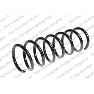 Coil Spring - Rear