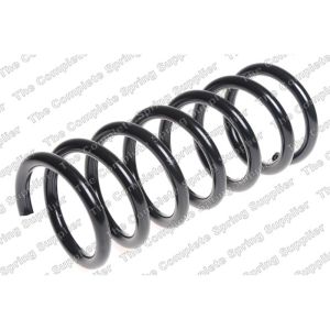 Coil Spring - Rear