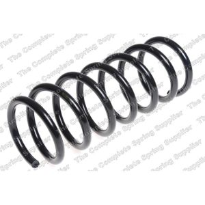 Coil Spring - Rear