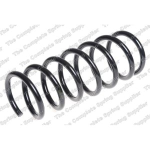 Coil Spring - Rear