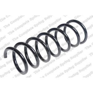 Coil Spring - Rear