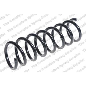 Coil Spring - Rear