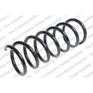 Coil Spring - Rear