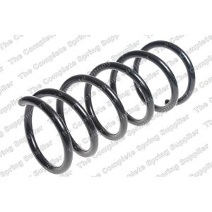 Coil Spring - Rear