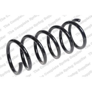 Coil Spring - Rear